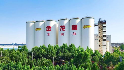 益海嘉里金龙鱼八赴进博之约 以科技健康双轮驱动，三季度业绩稳中有进